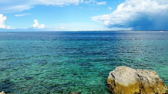 セブ島の海